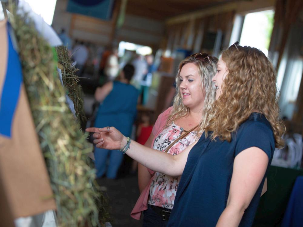 Visitors look at entries in the Hay Show at Ag Progress Days