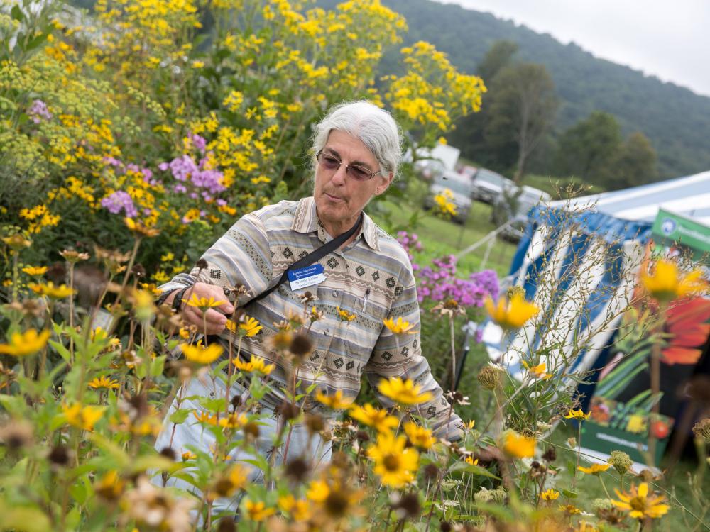 A Penn State Master Gardener tends to flowers at the Ag Progress Days Yard and Garden Area