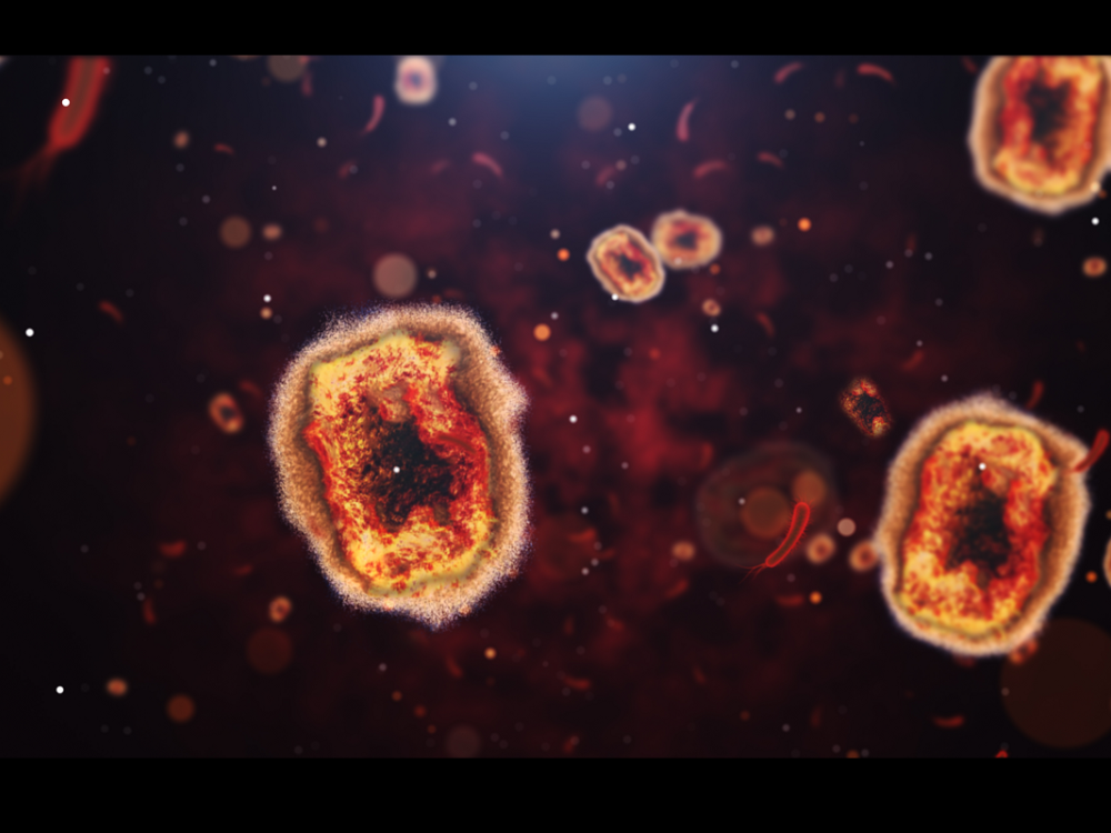 A visual, microscopic depiction of monkeypox viruses.