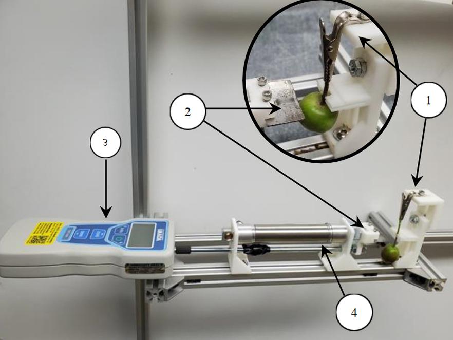 農業技術者がロボットによる青果物間引きの初期段階を設計(Agricultural engineers design early step for robotic, green-fruit thinning)