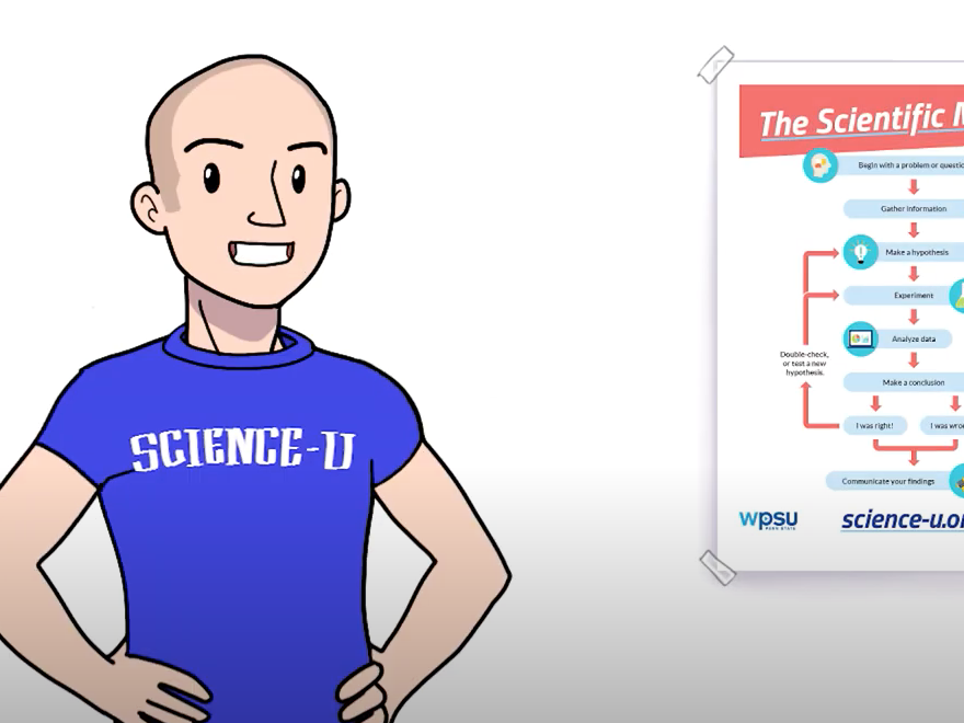 Screenshot of animated man and scientific method chart