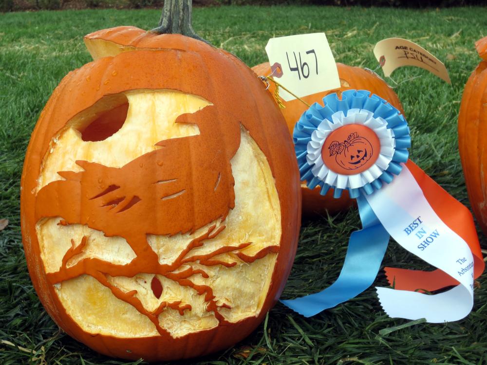 Jack-o'-lantern carved to show bird on branch