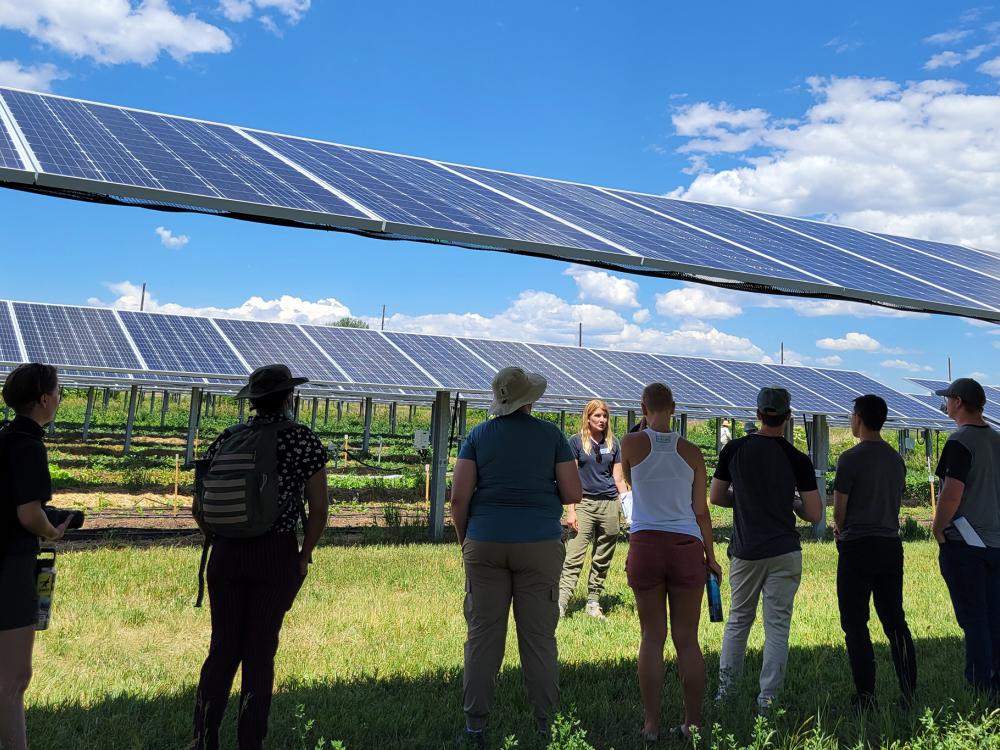 Penn State students visit Jacks Solar Garden to learn about the benefits of pairing solar panels with gardens.