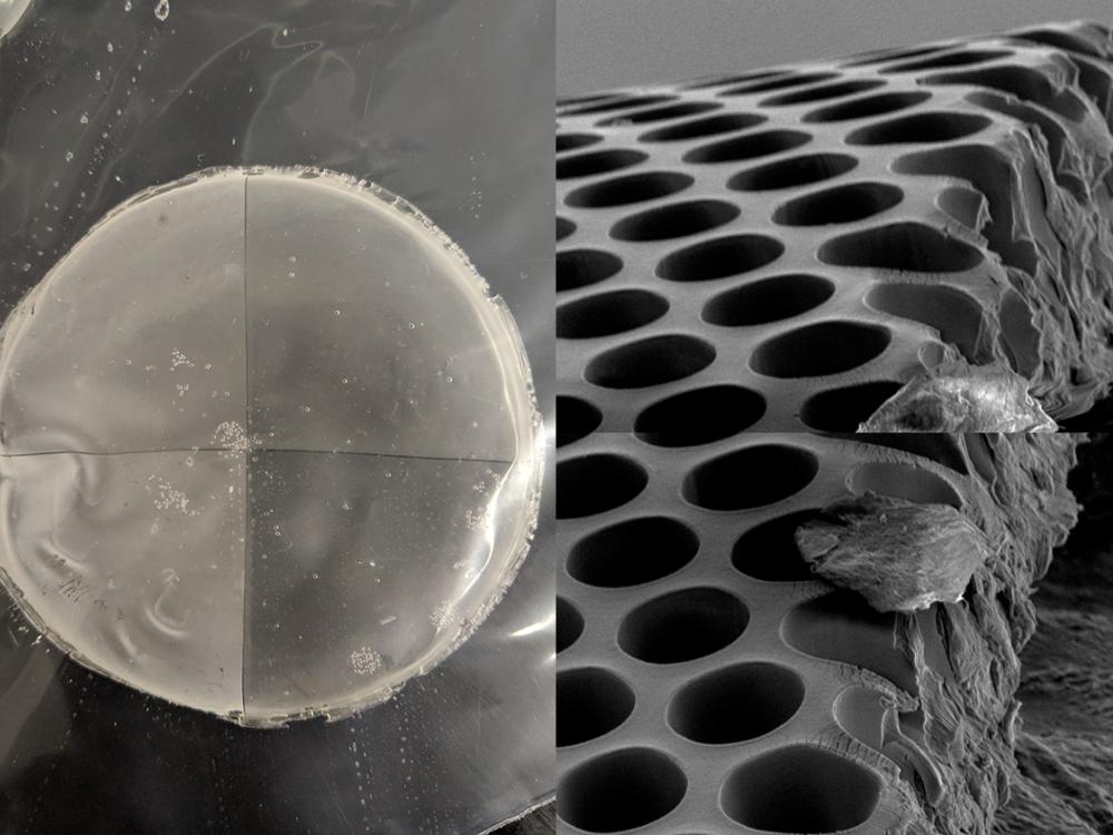 A round, flat, gray membrane is seen next to an electron microscope screenshot of the same membrane, upon which you can see tiny wells.