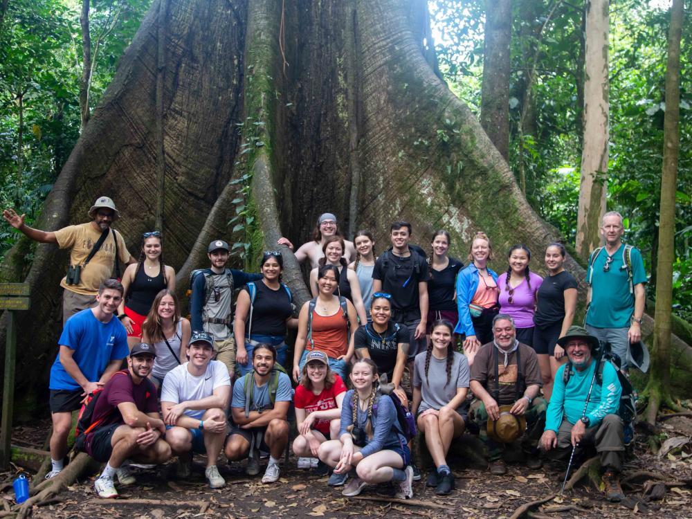 students gather around large tree in rainforest