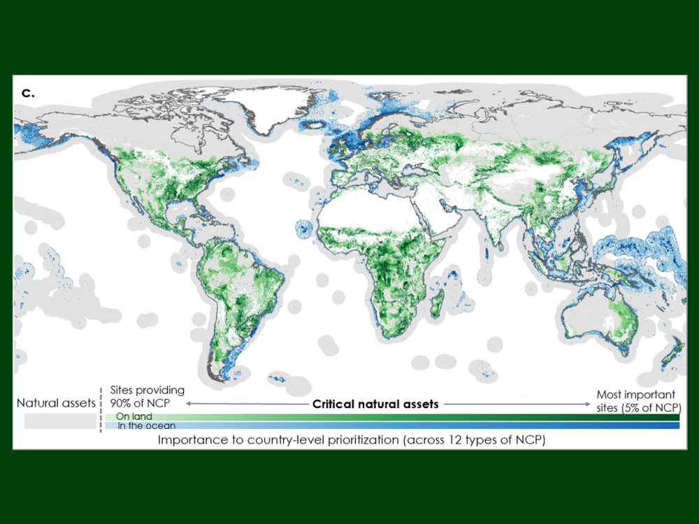A map of critical natural assets, with darker blues and greens representing areas associated with higher levels of aggregated nature's contributions to people