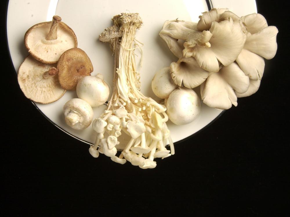 A plate of specialty mushrooms