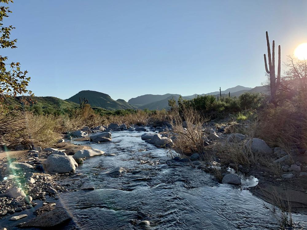 pretty desert stream