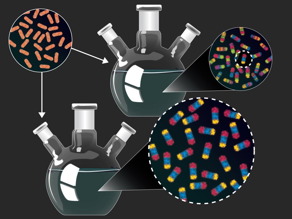 Illustration of experiements to produce novel nanoparticles