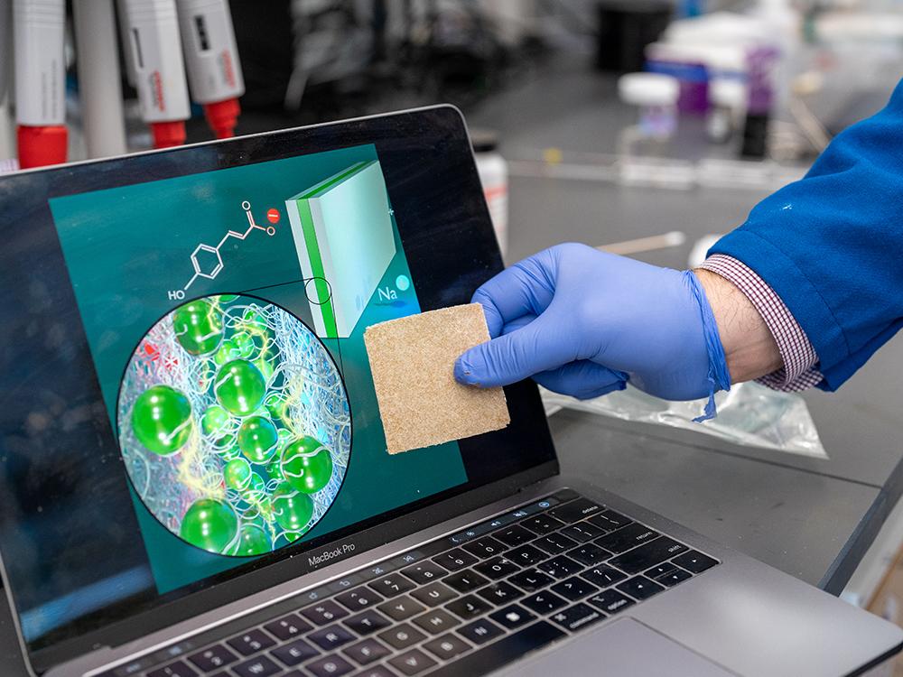 A gloved hand holds a porous ion resin wafer, which resembles a sponge, against a computer screen showing a colorful scientific journal cover.