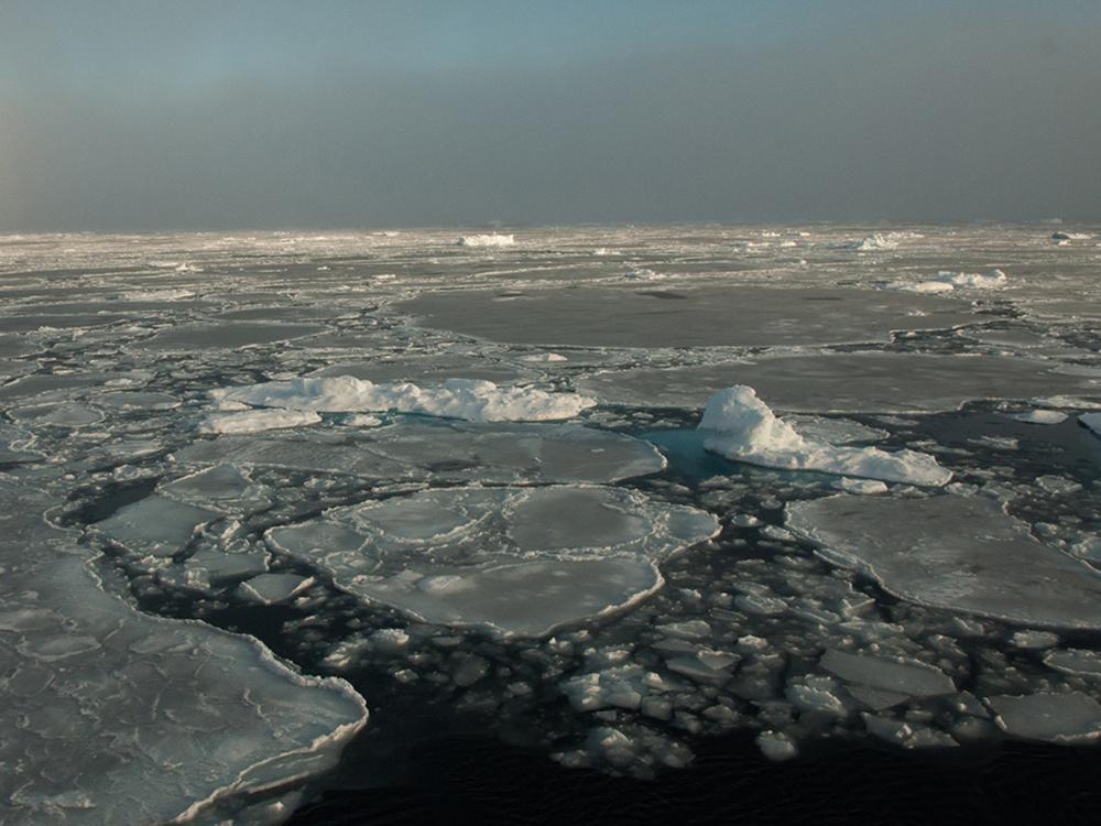 An image of Arctic sea ice 