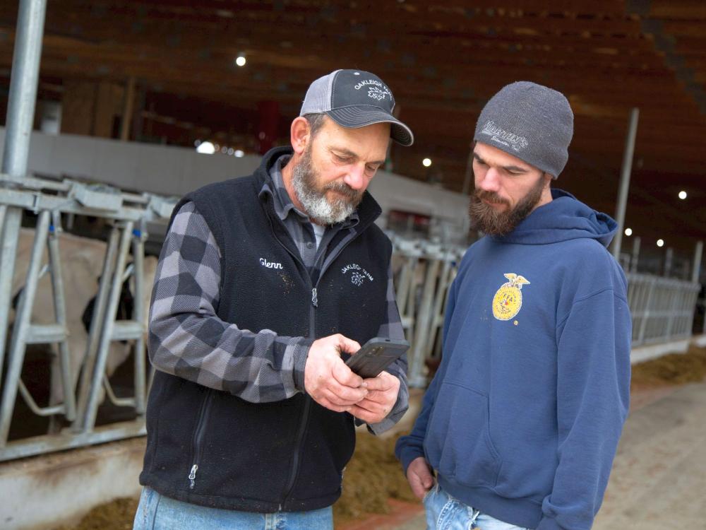 Dairy farmers at an automated dairy