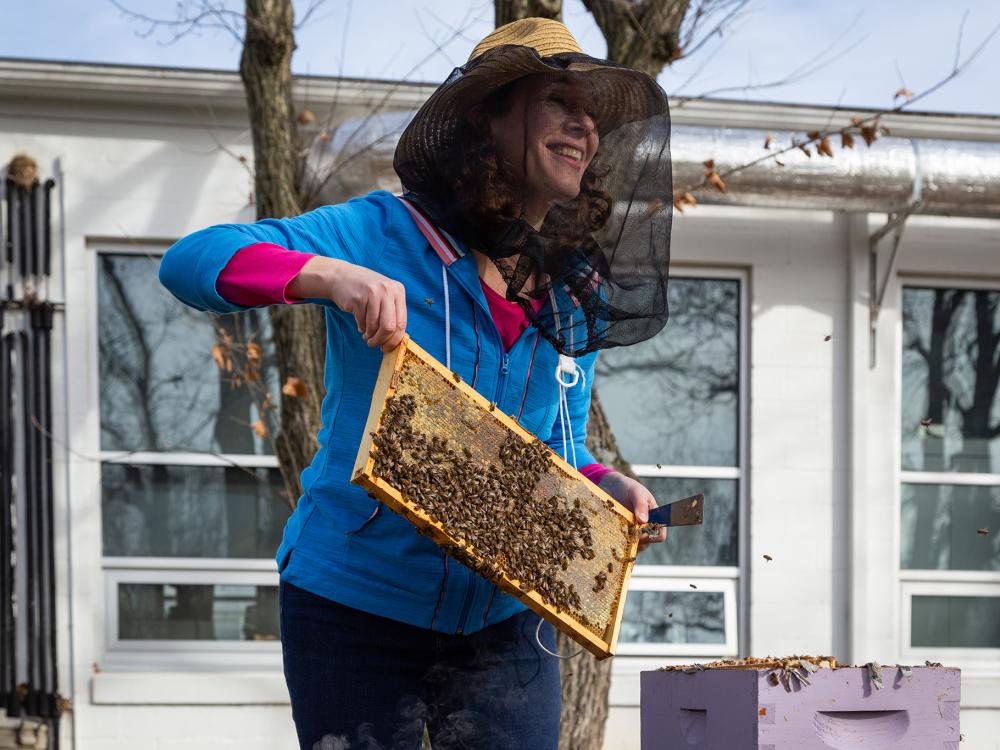 Christina Grozinger, Publius Vergilius Maro Professor of Entomology