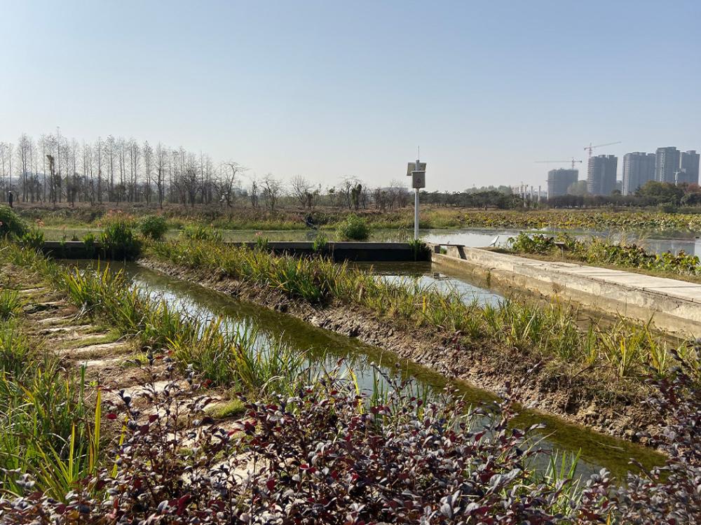 A stormwater filtration system in Tiantang River Park, Pingxiang, China.
