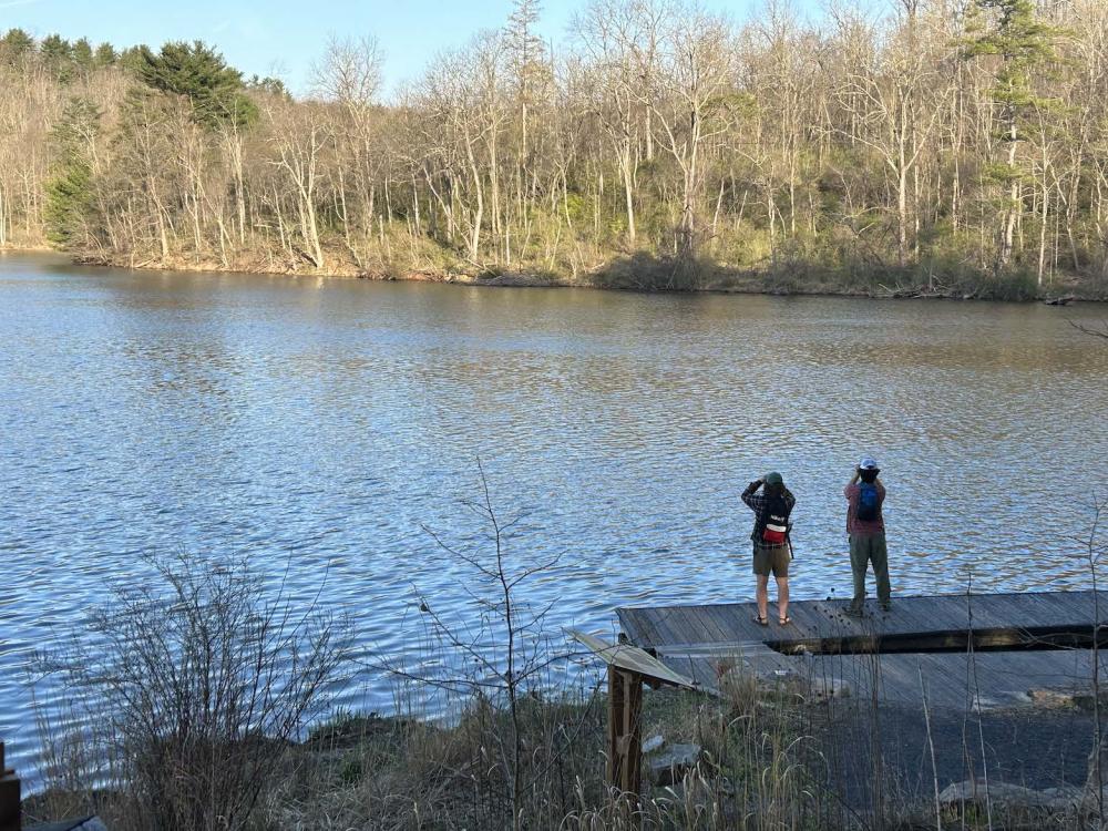 Birders look out over a lake