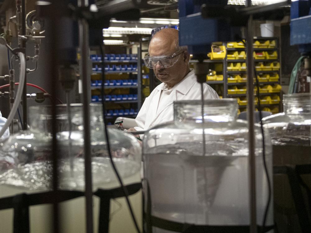 Man in white coat and safety glasses studies carboys in lab
