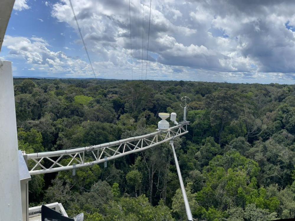 The Amazon Tall Tower Observatory stands over the central Amazon rainforest