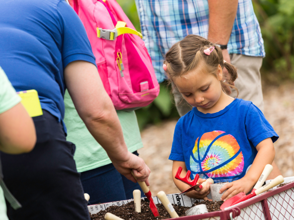 A small girl uses a spade in a small planter of dirt