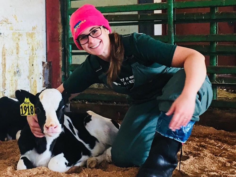 researcher with baby cow