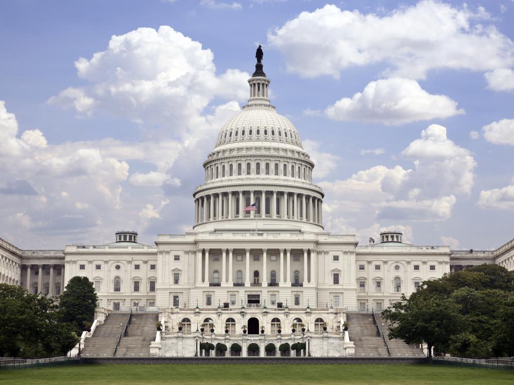 The U.S. Capitol