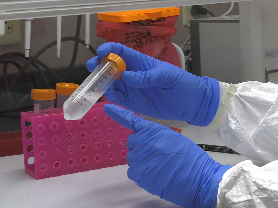 Gloved hands pointing to liquid contents in a vial