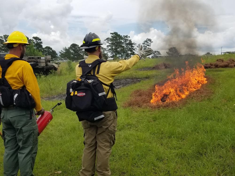 Penn State course on wildlands fire