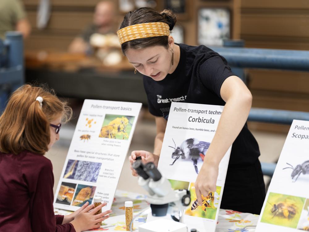 Isabella Petitta, Department of Entomology, Graduate Student
