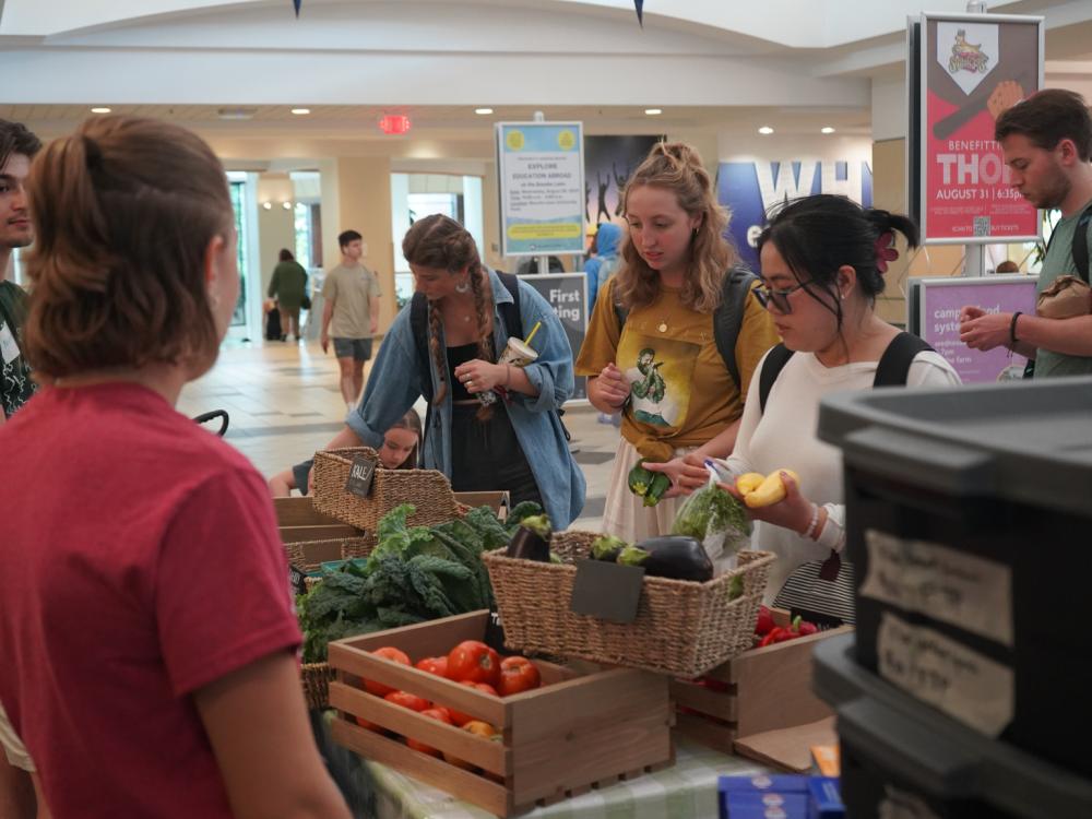 Students shop for fresh produce at the Feed the People farm stand in the HUB-Robeson Center