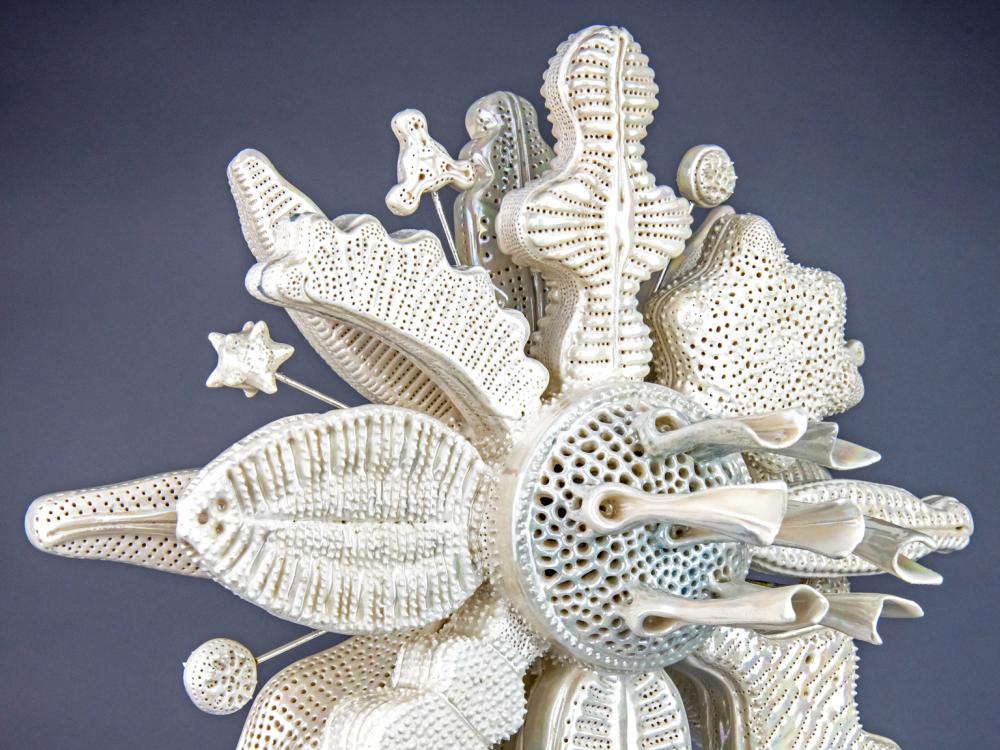 Flourish: View B - Diatoms: Matriarchal Homage by Marguerita Hagan