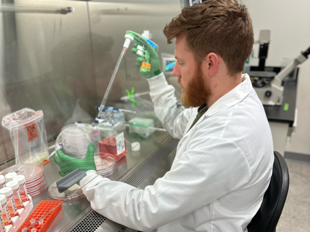 Person sits in lab setting working with lab equipment