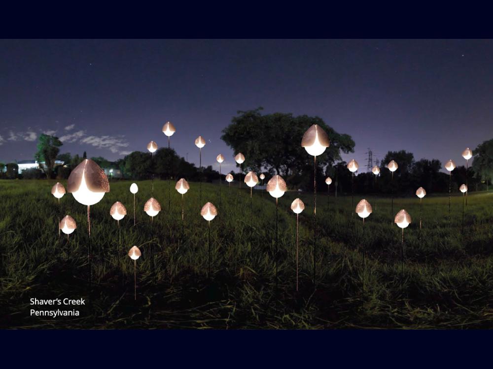 A rendering of solar lights along Shaver's Creek. 