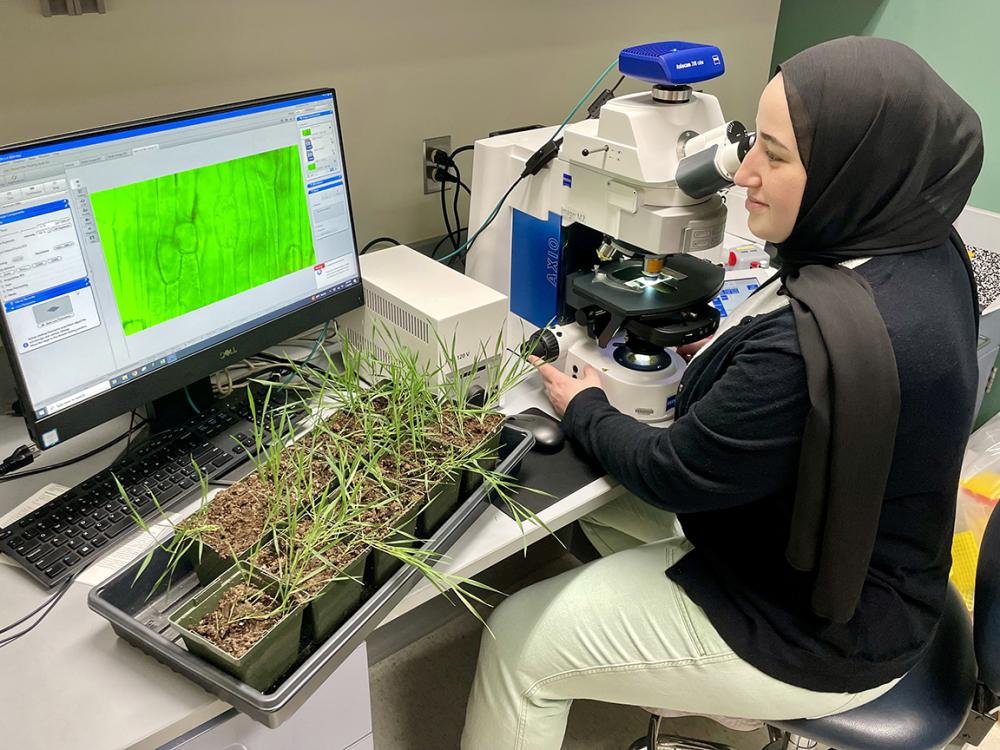 A person in front of a microscope and computer screen with a tray of plants