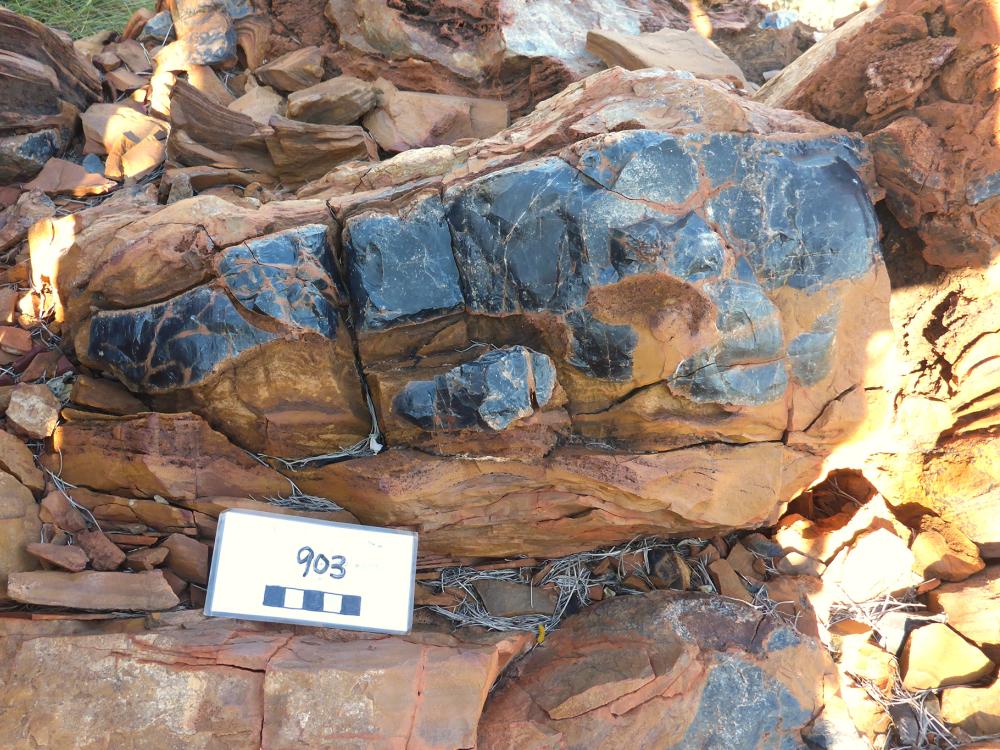 Shiny, black, microcrystalline chert in an outcrop. 