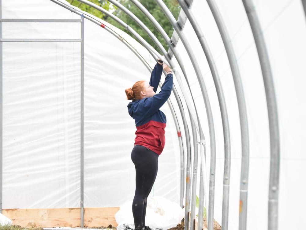 A female student reaches up while installing a section of a high tunnel growing space.