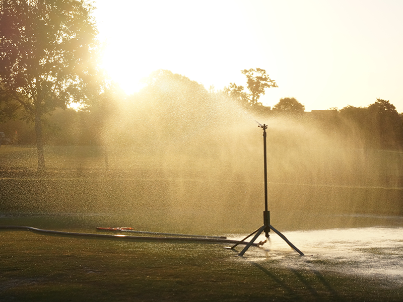 Lawn sprinkler at dawn