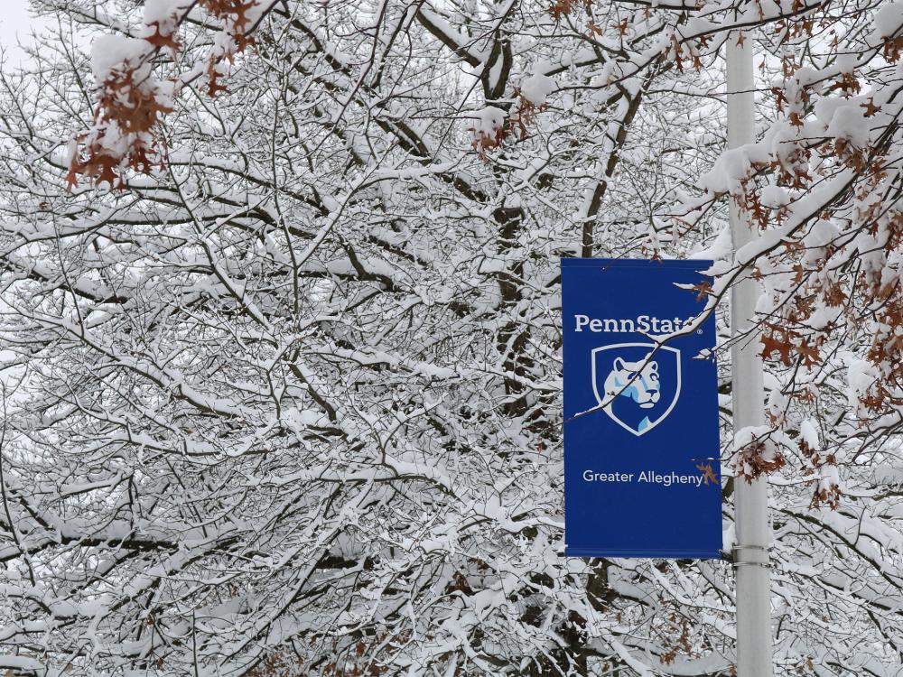 Snow covered tree at Penn State Greater Allegheny