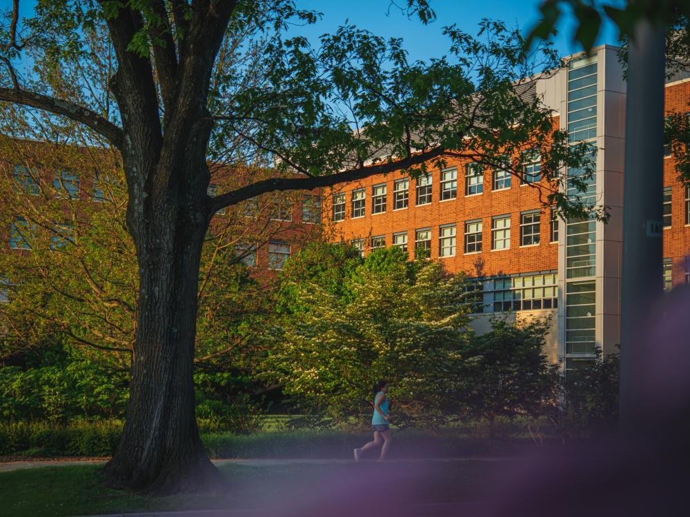 Photograph of University Park building in summer