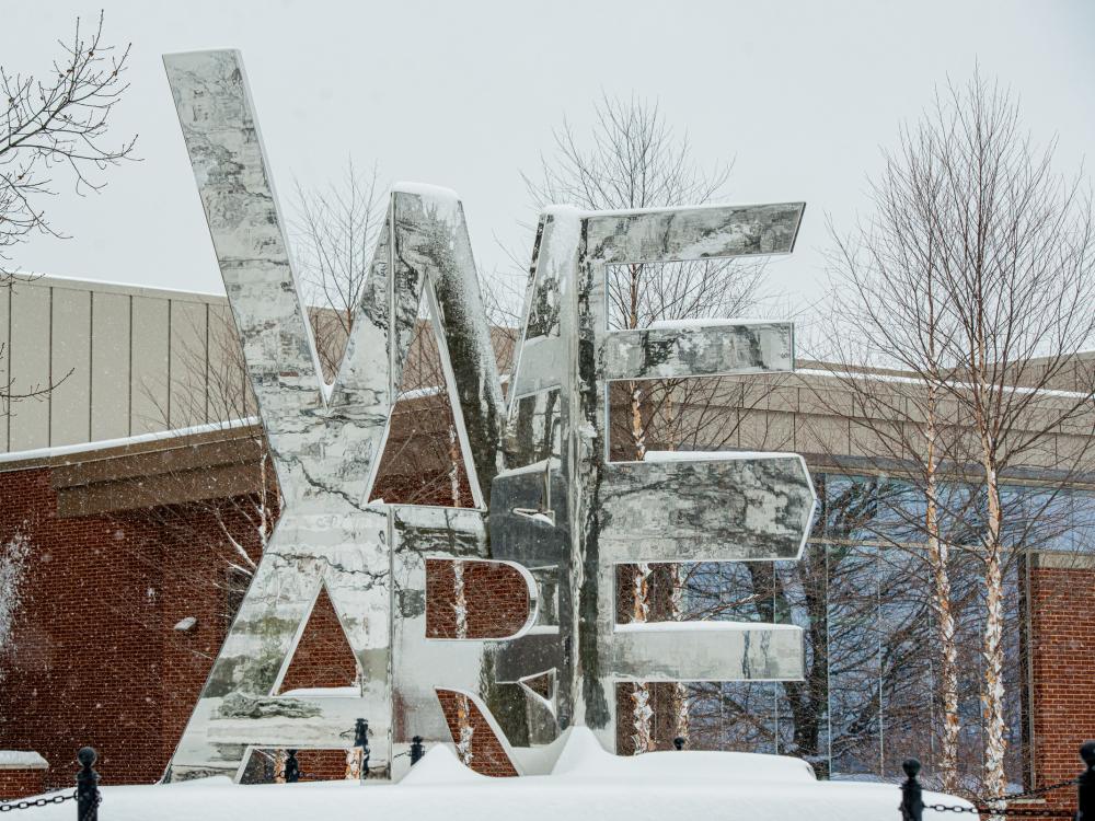 We Are sculpture at University Park campus in the snow