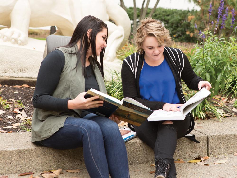 Two people sitting by the Lion Shrine looking through books