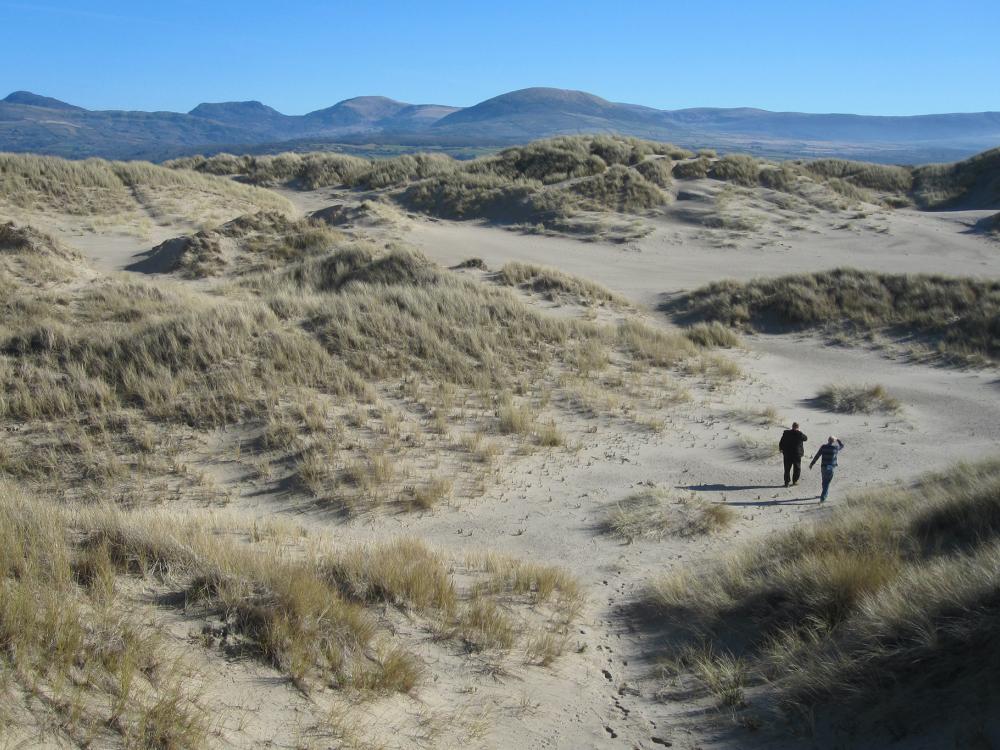 The location of a core sample in Wales 