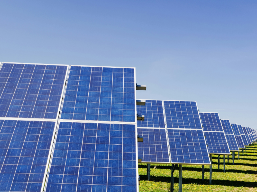 Solar panels lined up in a grassy field