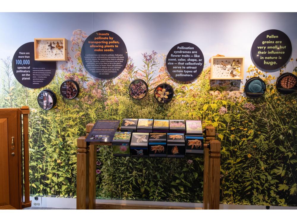 An ongoing exhibit on pollinators includes informational posters with close-up looks at habitat.