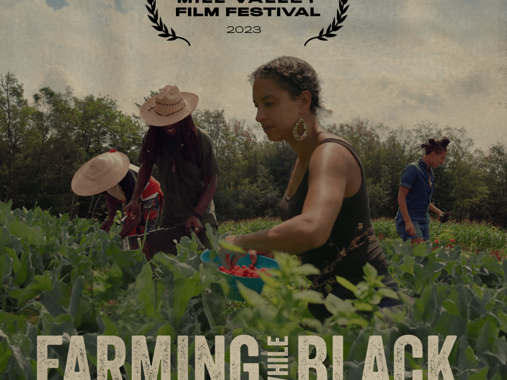 Farming While Black poster