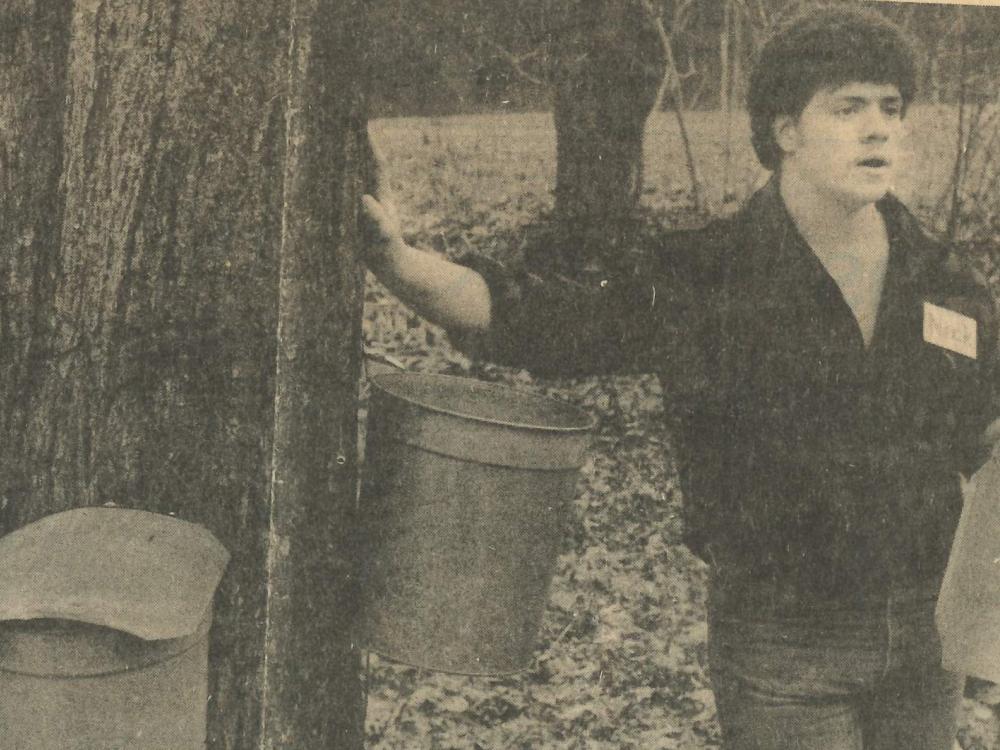 Black-and-white newspaper photo of maple tree with sap buckets and interpreter at 1984 Maple Harvest Festival
