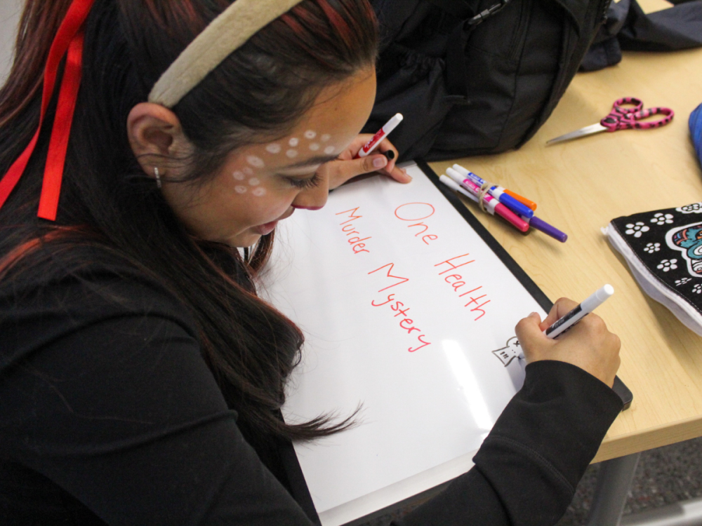 A student bends over a whiteboard, writing the words "One Health Murder Mystery"
