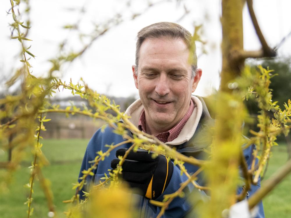 Tom Flynn with new willow