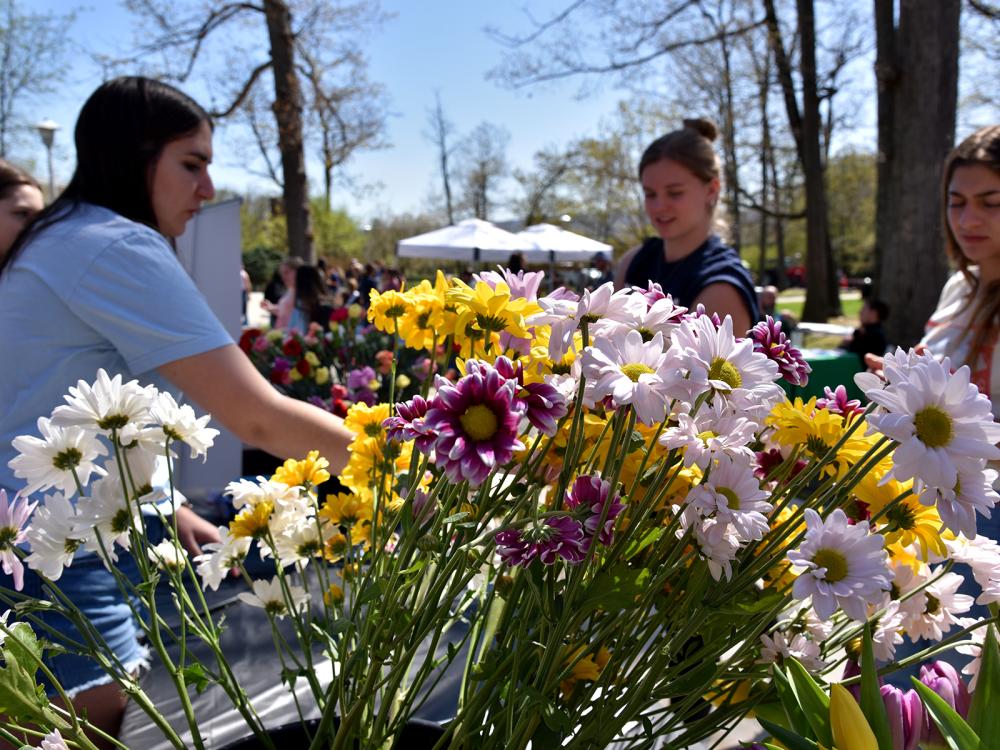 Students give out flowers at Ag Awareness Day 2023
