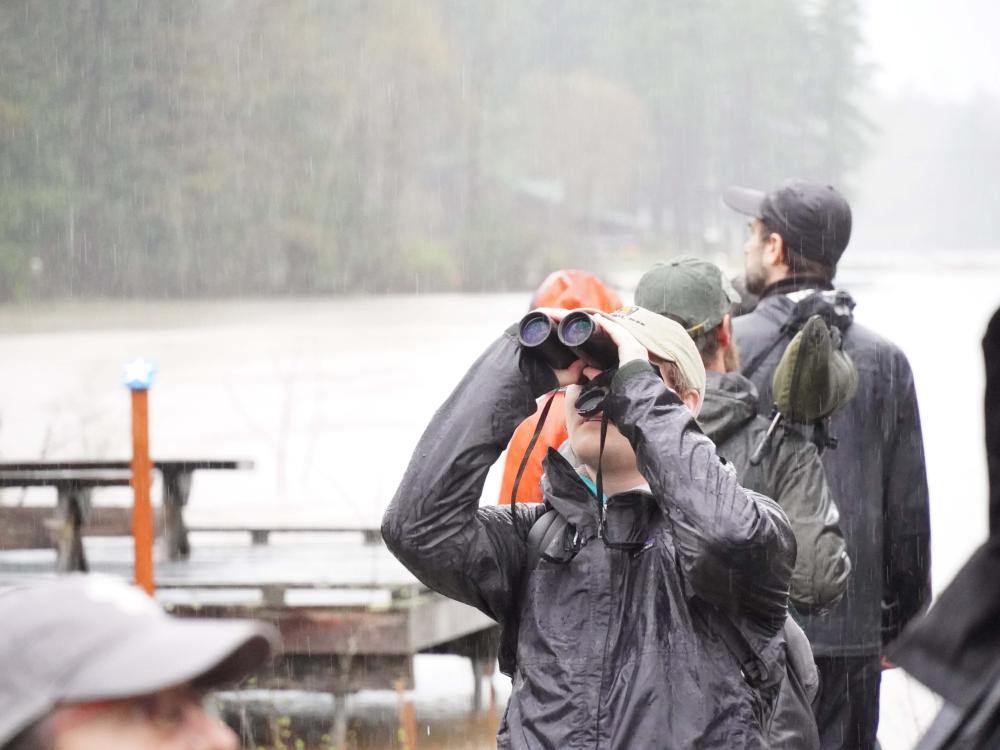Birder holding binoculars looks at the sky