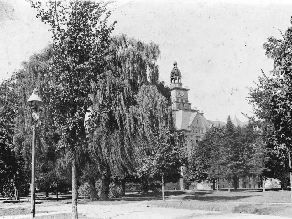 A mature willow tree stands in front of Penn State's Old Main building. 