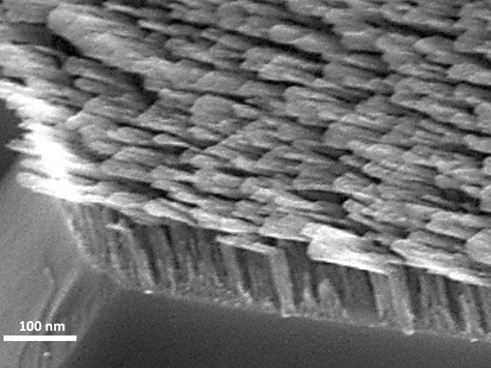 A grayscale image of L-shaped metamaterials at the nanoscale. 